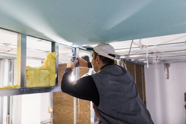 Best Insulation for New Construction  in Reliez Valley, CA